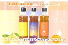 愛媛県産フルーツシロップ3本セット＜レモネード・みかん・ピオーネ＆レモン＞（簡易箱入り）｜シロップ　果実シロップ　愛媛　シロップセット　レモネード　みかん　ぶどう