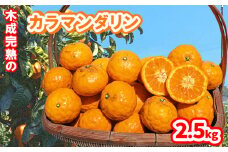 【5月から発送】 春 みかん カラマンダリン 家庭用 2.5kg｜みかん 蜜柑 旬 わけあり 訳あり 甘い 柑橘 果物 フルーツ 糖度 愛媛 松山