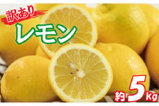 訳あり レモン サイズ不揃い 約5kg ( 訳あり れもん レモン 檸檬 国産 旬のフルーツ 愛媛県 松山市)