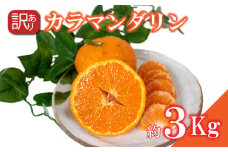 ＜4月中旬～5月上旬発送予定＞ 訳あり カラマンダリン 約3kg  柑橘 みかん 訳あり 愛媛県 松山市 訳ありみかん 柑橘 ふるさと納税 期間限定柑橘 ふるさと納税みかん 訳ありみかん