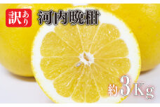 【2025年4月中旬より発送予定】訳あり 河内晩柑 約3kg　柑橘 みかん 訳あり 愛媛県 松山市 訳ありみかん 柑橘 ふるさと納税 期間限定柑橘 ふるさと納税みかん 訳ありみかん