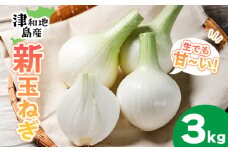 【先行予約】 津和地新玉ねぎ 3kg【津和地ブランド玉ねぎ】| たまねぎ 玉ねぎ タマネギ オニオン ブランド玉ねぎ 新玉ねぎ 津和地島産 野菜 島野菜 農家直送 期間限定 ドレッシング スープ おすすめ 旬 愛媛県 松山市