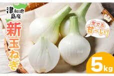 【先行予約】 津和地新玉ねぎ 5kg【津和地ブランド玉ねぎ】| たまねぎ 玉ねぎ タマネギ オニオン ブランド玉ねぎ 新玉ねぎ 津和地島産 野菜 島野菜 農家直送 期間限定 ドレッシング スープ おすすめ 旬 愛媛県 松山市