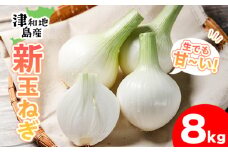 【先行予約】 津和地新玉ねぎ 8kg【津和地ブランド玉ねぎ】| たまねぎ 玉ねぎ タマネギ オニオン ブランド玉ねぎ 新玉ねぎ 津和地島産 野菜 島野菜 農家直送 期間限定 ドレッシング スープ おすすめ 旬 愛媛県 松山市