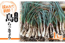 島らっきょう 1kg | 期間限定 らっきょう ラッキョウ 辣韭 らっきょう酢 炒め物 天ぷら 国産 愛媛県産 愛媛県 松山市 松山市ふるさと納税返礼品