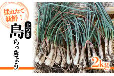 島らっきょう 2kg | 期間限定 らっきょう ラッキョウ 辣韭 らっきょう酢 炒め物 天ぷら 国産 愛媛県産 愛媛県 松山市 松山市ふるさと納税返礼品