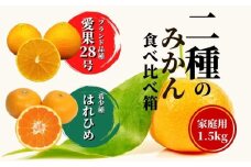 【早期予約受付中！2025年12月～順次発送】二種のみかん食べ比べ箱 【愛果 28 号・はれひめ】 約 1.5kg 家庭用 みかん 先行予約 蜜柑 柑橘 果物 くだもの フルーツ お取り寄せ グルメ 期間限定 数量限定 人気 おすすめ 愛媛県 松山市