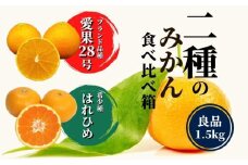 【早期予約受付中！2025年12月～順次発送】二種のみかん食べ比べ箱 【愛果 28 号・はれひめ】 約 1.5kg 良品 みかん 先行予約 蜜柑 柑橘 果物 くだもの フルーツ お取り寄せ グルメ 期間限定 数量限定 人気 おすすめ 愛媛県 松山市