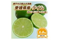 【9月下旬頃より発送】 訳あり ライム 約1.2kg（12個～20個） ライム らいむ 柑橘 限定 新鮮 希少 香り 瀬戸内 お酒 旬 国産 贅沢 爽快 甘酸 特産 自家製 採れたて 愛媛県 松山市