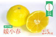 【先行予約】媛小春 2.5kg 家庭用 | みかん ミカン mikan フルーツ 果物 くだもの 媛小春 ひめこはる 希少柑橘 農家直送 2.5キロ 数量限定 期間限定 送料無料 柑橘 愛媛県 松山市