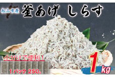 【訳あり】 釜揚げ しらす 1kg |  訳ありしらす 不揃いシラス 国産しらす 冷凍シラス 釜揚げしらす シラス丼 海の幸 松山市産しらす 愛媛県産シラス しらす シラス 釜揚げしらす 惣菜 弁当 簡単調理 ごはんのお供 加工品  海の幸 しらす丼 グルメ 食品 魚介 小魚 魚 鮮魚 海鮮  シラス 卵 たまご 訳あり商品  愛媛県 松山市