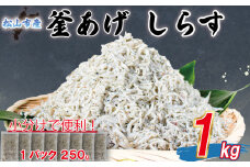 【訳あり】 釜揚げ しらす 1kg |  訳ありしらす 不揃いシラス 国産しらす 冷凍シラス 釜揚げしらす シラス丼 海の幸 松山市産しらす 愛媛県産シラス しらす シラス 釜揚げしらす 惣菜 弁当 簡単調理 ごはんのお供 加工品  海の幸 しらす丼 グルメ 食品 魚介 小魚 魚 鮮魚 海鮮  シラス 卵 たまご 訳あり商品  愛媛県 松山市