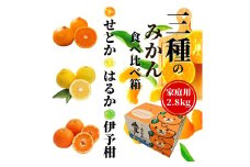 ＜2026年2月頃発送＞ 【先行予約】 【三種のみかん食べ比べ箱】せとか・はるか・宮内伊予柑 （家庭用）約2.8kg　食べくらべ 愛媛 みかん 詰め合わせ セット 先行予約 蜜柑 柑橘 果物 くだもの フルーツ お取り寄せ グルメ 期間限定 数量限定 人気 おすすめ 愛媛県 松山市