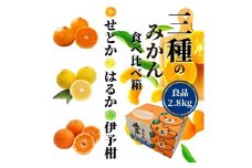 ＜2026年2月頃発送＞ 【先行予約】 【三種のみかん食べ比べ箱】せとか・はるか・宮内伊予柑 （良品）約2.8kg　食べくらべ 愛媛 みかん 詰め合わせ セット 先行予約 蜜柑 柑橘 果物 くだもの フルーツ お取り寄せ グルメ 期間限定 数量限定 人気 おすすめ 愛媛県 松山市