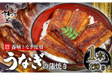 【容量選択可】〈うなぎ屋かわすい〉愛媛県松山市養殖うなぎを使用！うなぎ蒲焼 1本 (1尾：150～169g)  ｜うなぎ ウナギ 鰻 蒲焼き 国産 お取り寄せ グルメ ふるさと納税  簡単調理 土用丑の日 ギフト 贈り物 お中元 お歳暮 母の日 父の日  かわすい 川口水産 愛媛県 松山市