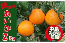 【2025年12月から順次発送】 愛果28号 訳あり 2kg