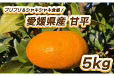 【先行予約】プリプリ＆シャキシャキ食感！甘平 5㎏ 【2月中旬～3月中旬発送】 柑橘 果物 フルーツ  みかん 甘平 松山市 愛媛県