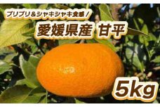 【先行予約】プリプリ＆シャキシャキ食感！甘平 5㎏ 【2月中旬～3月中旬発送】 柑橘 果物 フルーツ  みかん 甘平 松山市 愛媛県