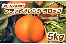 【先行予約】ブラッドオレンジ　タロッコ 5kg 【2月中旬～3月中旬発送】 柑橘 果物 フルーツ オレンジ みかん 松山市 愛媛県