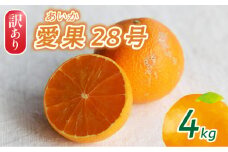 【2025年12月頃から発送】訳あり 愛果28号 家庭用 4kg
