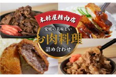 愛媛の美味しいお肉料理の詰め合わせ | 肉 肉料理 牛肉 豚肉 とんかつ メンチカツ 牛丼 豚丼 冷凍 詰め合わせ 食べ比べ セット 愛媛県産 簡単調理 ご当地グルメ 愛媛県 松山市