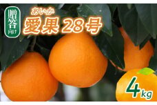 【2025年12月頃から発送】 愛果28号 贈答用 4kg