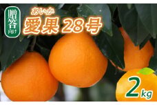 【2025年12月頃から発送】 愛果28号 贈答用 2kg
