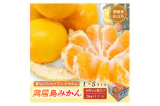 【先行予約】【11月下旬より順次発送】興居島みかん 約3kg（L～Sサイズ） みかん 柑橘 興居島 ごごしま ブランド 愛媛県 松山市
