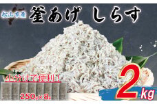 【訳あり】 釜揚げ しらす 2kg |  訳ありしらす 不揃いシラス 国産しらす 冷凍シラス 釜揚げしらす シラス丼 海の幸 松山市産しらす 愛媛県産シラス しらす シラス 釜揚げしらす 惣菜 弁当 簡単調理 ごはんのお供 加工品  海の幸 しらす丼 グルメ 食品 魚介 小魚 魚 鮮魚 海鮮  シラス 卵 たまご 訳あり商品  愛媛県 松山市