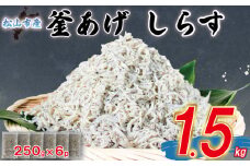 家庭用 釜揚げ しらす 約1.5kg | 家庭用 訳あり 不揃い 国産 しらす干し おつまみ 酒の肴 冷凍 小分け 個包装 便利 おかず 惣菜 弁当 簡単調理 ごはんのお供 加工品 海の幸 しらす丼 グルメ 食品 魚介 小魚 魚 鮮魚 海鮮 シラス お取り寄せ 送料無料 愛媛県 松山市