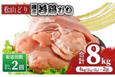【定期便2回】松山どり むね肉 2kg×2パック×2回　計8kg | 定期便 国産 鶏肉 小分け 若鶏 冷凍 愛媛県 松山市 株式会社ビージョイ