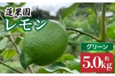 【先行予約】 【グリーンレモン】 【 9月から発送】 家庭用 グリーンレモン 約5kg 防腐剤 ワックス 不使用｜ 訳あり レモン 檸檬 完熟 柑橘 酸味 国産 愛媛県産 訳あり 新鮮 愛媛 松山 