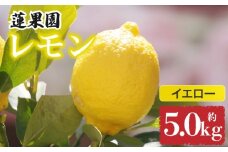 【先行予約】 【イエローレモン】 【 2026年1月上旬から発送】  約5kg 防腐剤 ワックス 不使用｜ 訳あり レモン 檸檬 完熟 柑橘 酸味 国産 愛媛県産 訳あり 新鮮 愛媛 松山 