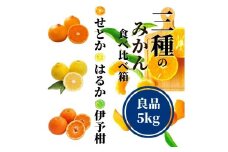 【三種のみかん食べ比べ箱】せとか・はるか・宮内伊予柑 （良品）約5kg　＜2月頃から順次発送＞| 愛媛 みかん 先行予約 蜜柑 柑橘 果物 くだもの フルーツ お取り寄せ グルメ 期間限定 数量限定 人気 おすすめ 愛媛県 松山市
