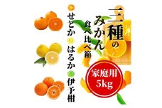 【先行予約】 【三種のみかん食べ比べ箱】せとか・はるか・宮内伊予柑 （家庭用）約5kg　＜2月から順次発送＞ | 愛媛 みかん 先行予約 蜜柑 柑橘 果物 くだもの フルーツ お取り寄せ グルメ 期間限定 数量限定 人気 おすすめ 愛媛県 松山市