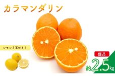 【先行予約】カラマンダリン (優品) 約2.5kg & 瀬戸内海の島レモン 3玉 セット | 柑橘 レモン みかん 蜜柑 mikan 檸檬 オレンジ かんきつ セット【2026年3月下旬頃から発送予定】 瀬戸内海 愛媛県 松山市 ココオ Koko'o 