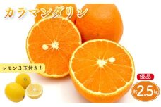 【先行予約】カラマンダリン 家庭用(優品) 約2.5kg & 瀬戸内海の島レモン 3玉 セット | 柑橘 レモン みかん 蜜柑 mikan 檸檬 オレンジ かんきつ セット【2026年3月下旬頃から発送予定】 瀬戸内海 愛媛県 松山市 ココオ Koko'o 