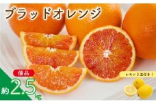 【先行予約】ブラッドオレンジ (優品) 約2.5kg & 瀬戸内海の島レモン 3玉 セット | 柑橘 レモン みかん 蜜柑 mikan 檸檬 オレンジ ブラッドオレンジ おれんじ かんきつ セット【2026年3月下旬頃から発送予定】 瀬戸内海 愛媛県 松山市 ココオ Koko'o 