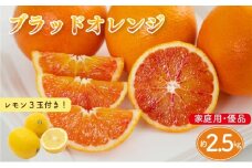 【先行予約】ブラッドオレンジ 家庭用(優品) 約2.5kg & 瀬戸内海の島レモン 3玉 セット | 柑橘 レモン みかん 蜜柑 mikan 檸檬 オレンジ ブラッドオレンジ おれんじ かんきつ セット【2026年3月下旬頃から発送予定】 瀬戸内海 愛媛県 松山市 ココオ Koko'o 