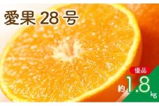 【先行予約】 柑橘 愛果28号 <優品>約 1.8kg 4-9玉 / L-4L | 紅まどんな と同品種 あいか28号 みかん 蜜柑 mikan 檸檬 オレンジ おれんじ かんきつ 【2025年11月中旬頃から発送予定】 愛媛県 松山市 ココオ Koko'o 