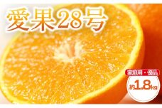 【先行予約】 柑橘 愛果28号 家庭用(優品) 約 1.8kg 4-9玉 / L-4L | 紅まどんな と同品種 あいか28号 みかん 蜜柑 mikan 檸檬 オレンジ おれんじ かんきつ 【2025年11月中旬頃から発送予定】 愛媛県 松山市 ココオ Koko'o 