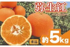 【先行予約】 完熟いよかん (秀品)【弥生紅】約5kg | いよかん 伊予柑 柑橘 みかん 蜜柑 mikan 檸檬 オレンジ おれんじ かんきつ 【2026年2月上旬頃から発送予定】 愛媛県 松山市 ココオ Koko'o