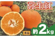 【先行予約】 完熟いよかん 【弥生紅】 (秀品・ギフトBOX入) 約2kg | いよかん 伊予柑 柑橘 みかん 蜜柑 mikan 檸檬 オレンジ おれんじ かんきつ 【2026年2月上旬頃から発送予定】 愛媛県 松山市 ココオ Koko'o 