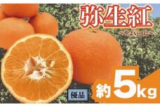 【先行予約】 完熟いよかん 【弥生紅】 (優品) 約5kg | いよかん 伊予柑 柑橘 みかん 蜜柑 mikan 檸檬 オレンジ おれんじ かんきつ 【2026年2月上旬頃から発送予定】 愛媛県 松山市 ココオ Koko'o 