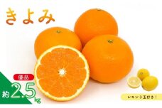 【先行予約】 きよみ (優品) 約2.5kg ＆ 瀬戸内海の島レモン3玉 | みかん オレンジ ミカン mikan 柑橘 かんきつ レモン 檸檬 れもん フルーツ 【2026年3月中旬頃から発送予定】新鮮 柑橘 ふるーつ 果物 くだもの 農家直送 産地直送 期間限定 愛媛県 松山市 ココオ Koko'o 