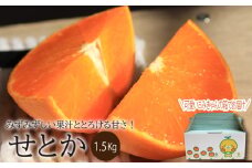 【先行予約】【2026年2月中旬～4月上旬頃発送】 せとか 1.5kg（M～3L）｜ 先行予約 せとか セトカ ｾﾄｶ せとか 柑橘 せとか 取り寄せ せとか 甘いみかん せとか ギフト 高級みかん 高級柑橘 せとか 愛媛県産 せとか  ミカン みかん ミカン mikan 蜜柑 柑橘 フルーツ 果物 くだもの お取り寄せ 産地直送 数量限定 人気 おすすめ 送料無料 贈答 愛媛県 松山市