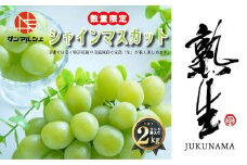 サンマルシェ 【限定100箱】熟生シャインマスカット 約2kg (3~5房入り) 青秀以上 冷蔵 愛媛県産 松山 伊台