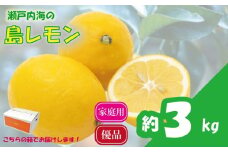 【先行予約】 瀬戸内海の島レモン (優品・家庭用) 3kg | レモン 檸檬 れもん フルーツ 【2026年3月中旬頃から発送予定】新鮮 柑橘 ふるーつ 果物 くだもの 農家直送 産地直送 期間限定 愛媛県 松山市 ココオ Koko'o 