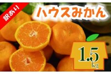 訳あり ハウスみかん 約1.5kg | 柑橘 果物 くだもの フルーツ みかん ミカン 蜜柑 mikan mican 不揃い 傷 ワケアリ 訳アリ 愛媛県 松山市
