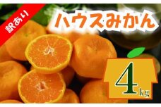 訳あり ハウスみかん 約4kg | 柑橘 果物 くだもの フルーツ みかん ミカン 蜜柑 mikan mican 不揃い 傷 ワケアリ 訳アリ 愛媛県 松山市